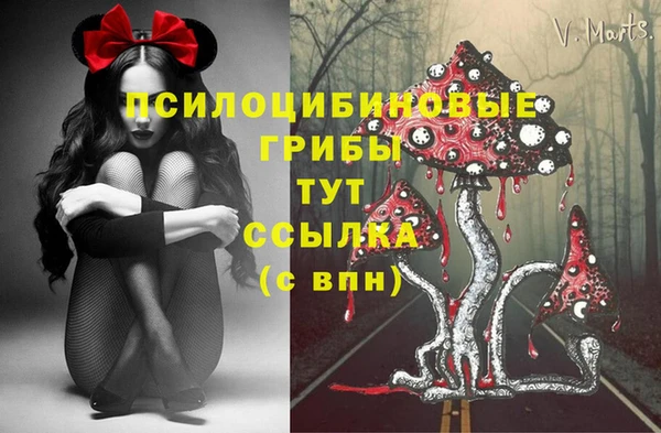 эйфоретик Бородино