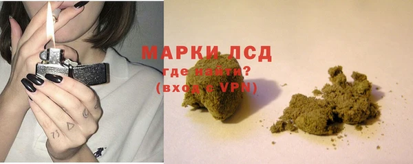 эйфоретик Бородино
