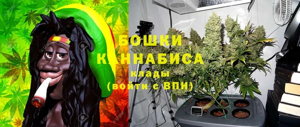 эйфоретик Бородино