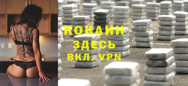 эйфоретик Бородино