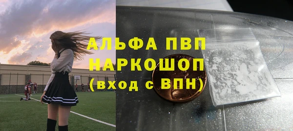 эйфоретик Бородино