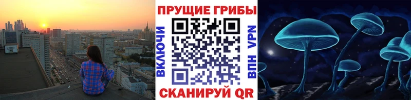Псилоцибиновые грибы прущие грибы  наркотики  Котельники 
